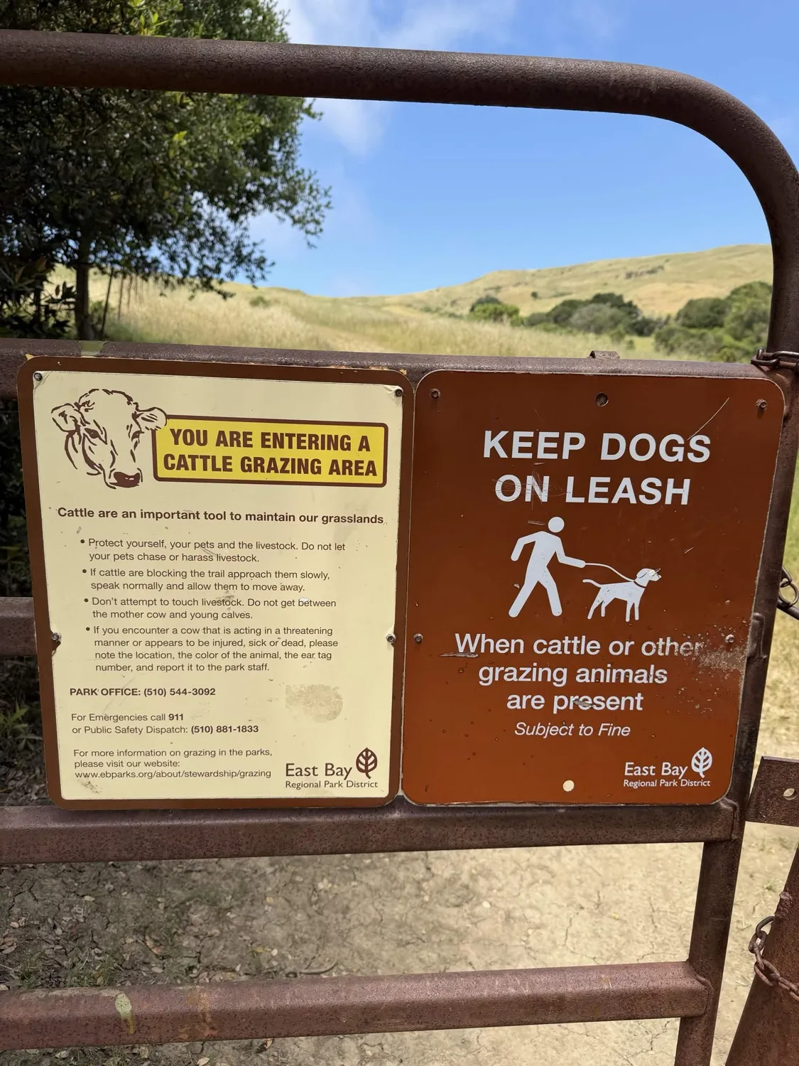 EBRPD official sign reading You Are Entering A Cattle Grazing Area at the trail corridor entrance