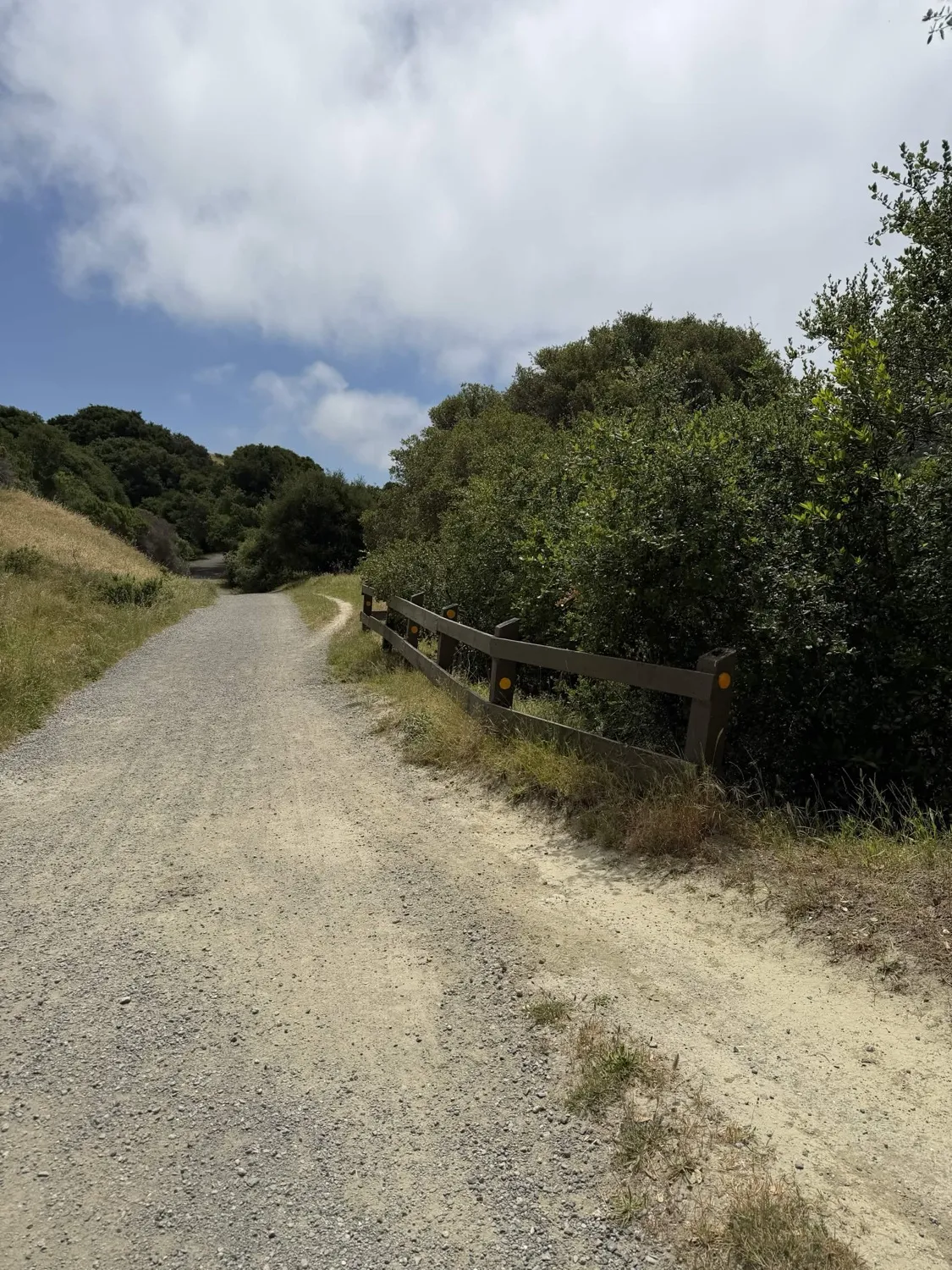 Wildcat Creek Trail connector — a wide gravel road where bikes already ride today
