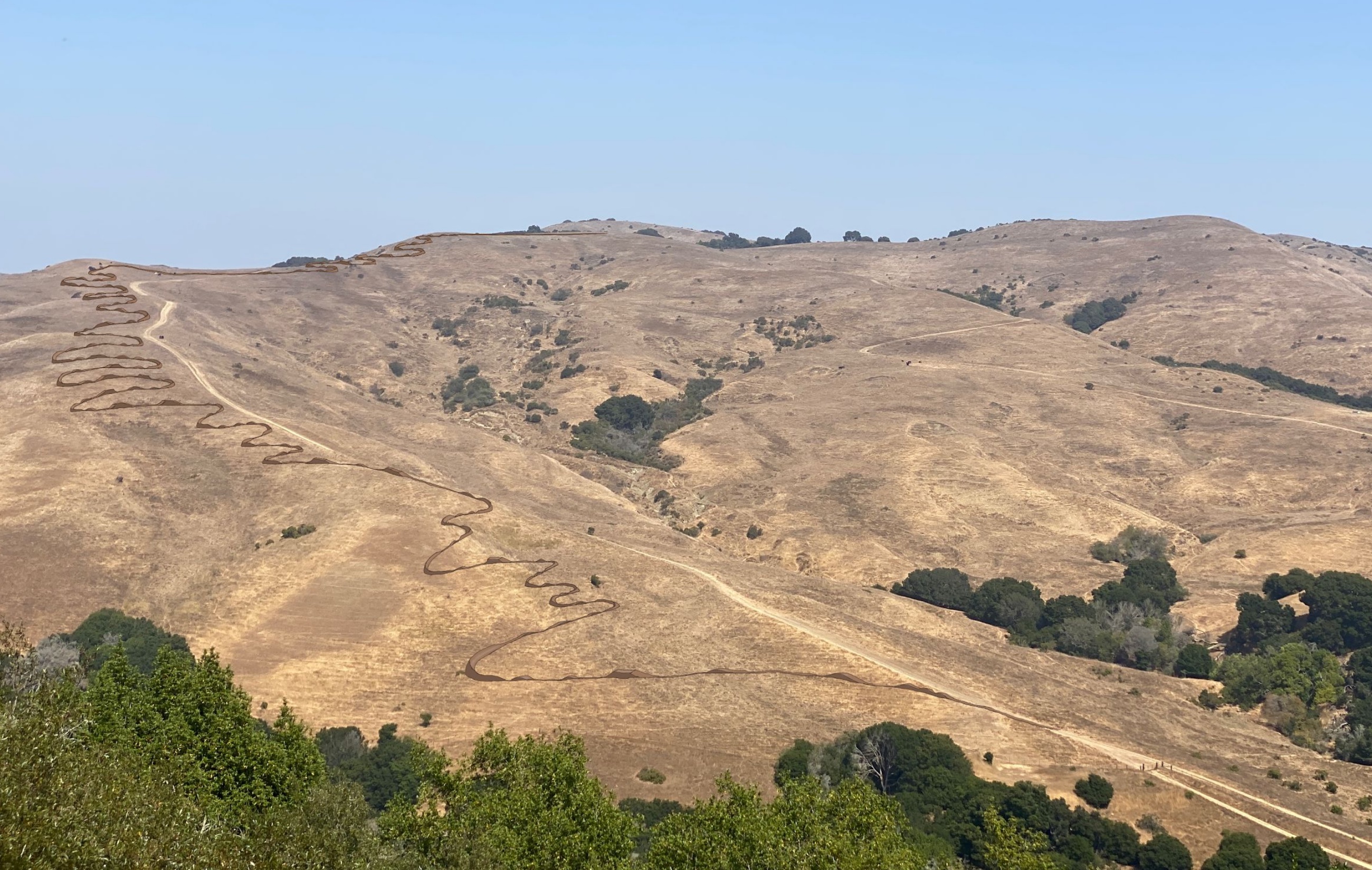 Conceptual rendering of the Wildcat Flow Trail on the hillside